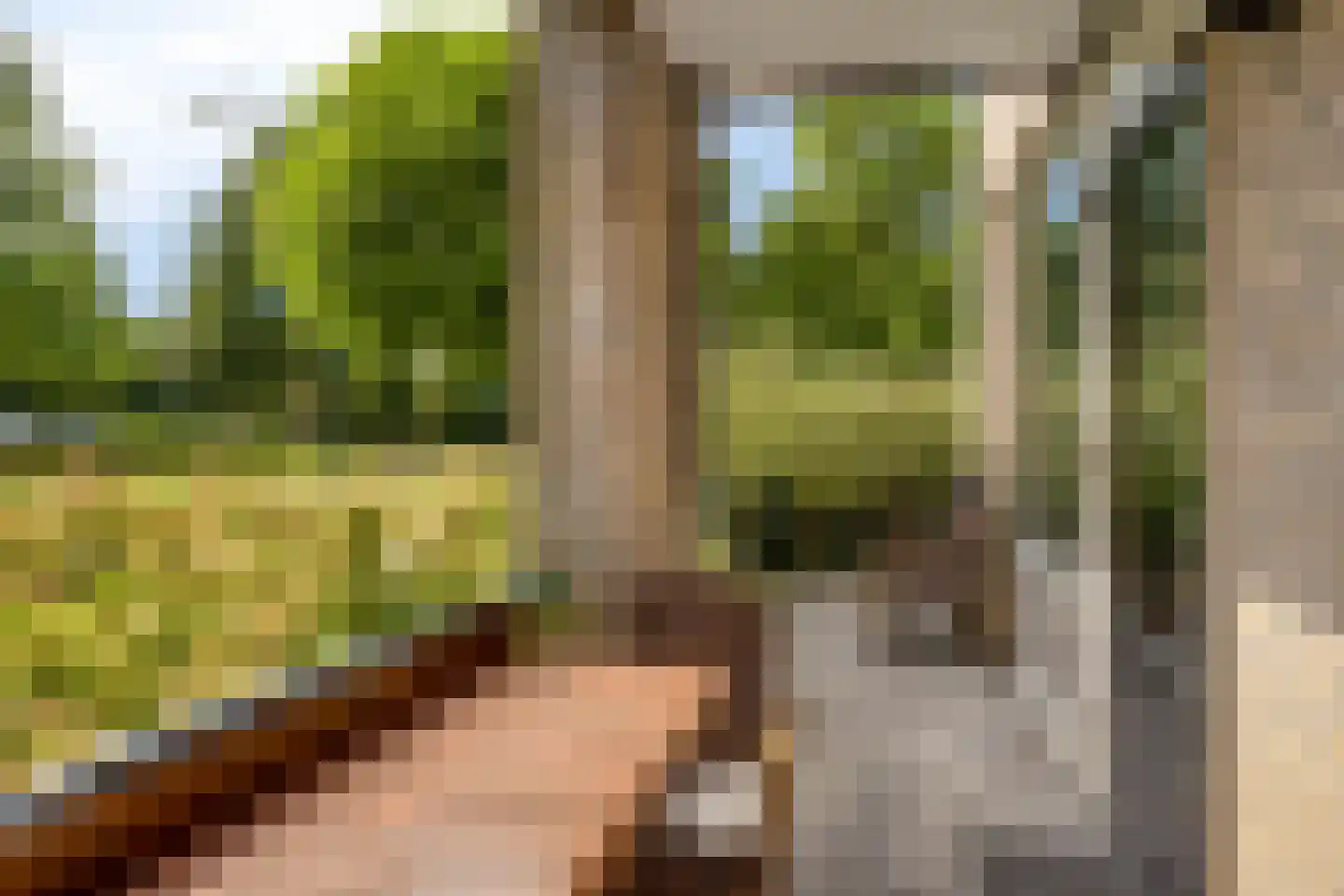 Dr.de Brouwerlaan 79 Boxtel thumbnail 32