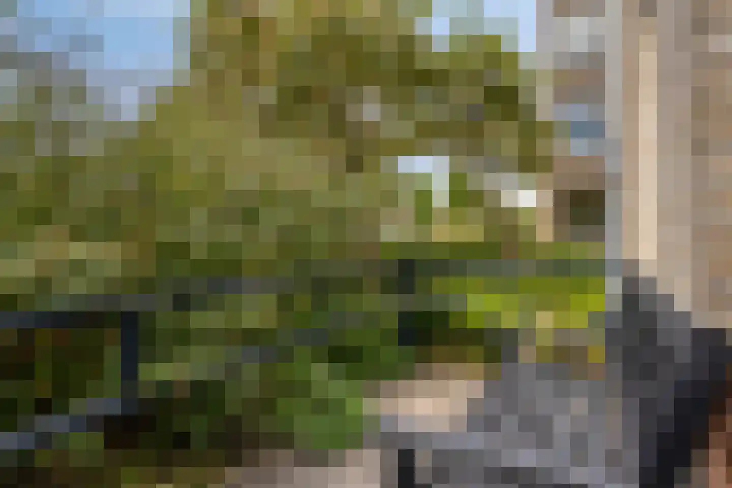 Dr.de Brouwerlaan 79 Boxtel thumbnail 33