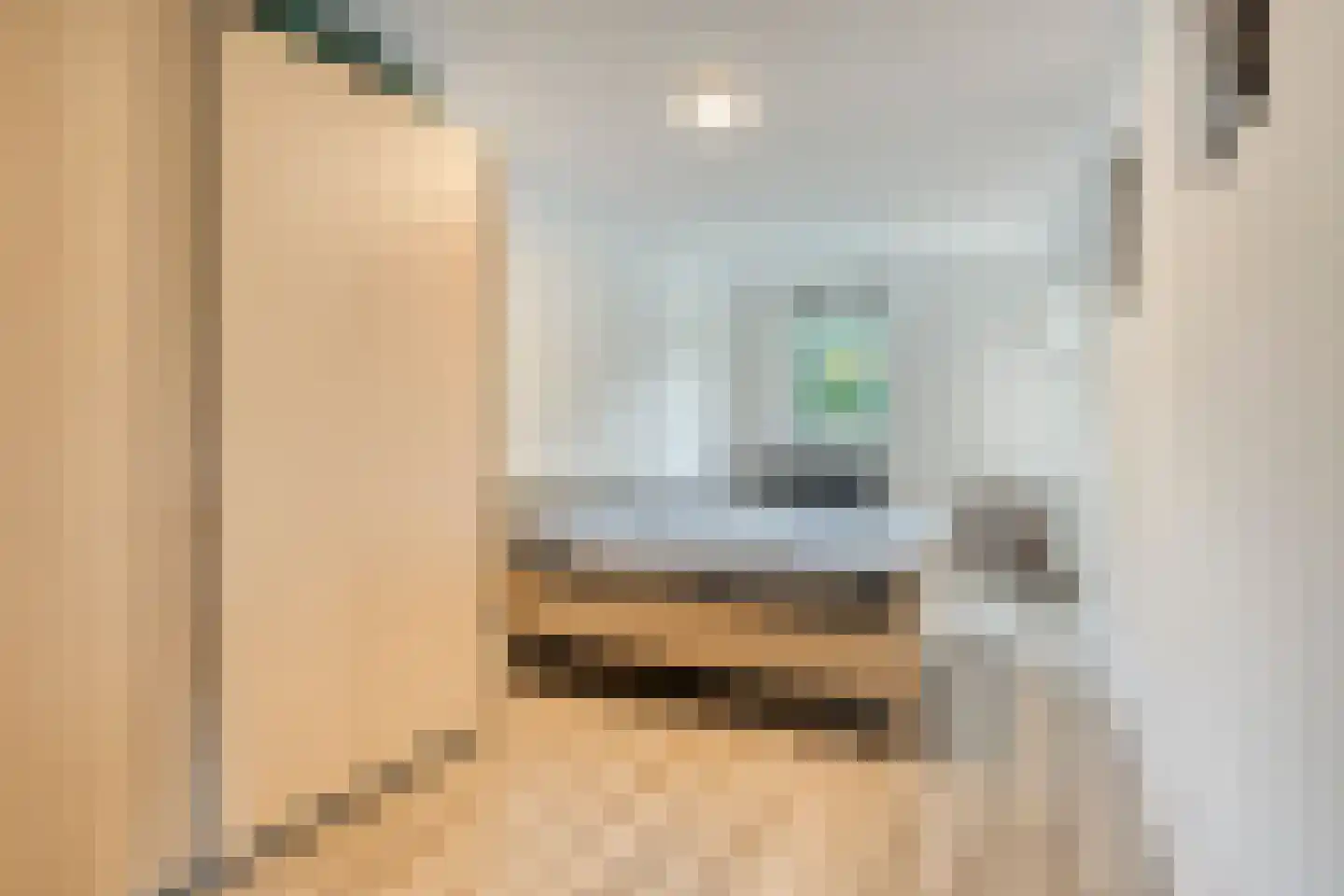 Dr.de Brouwerlaan 79 Boxtel thumbnail 5