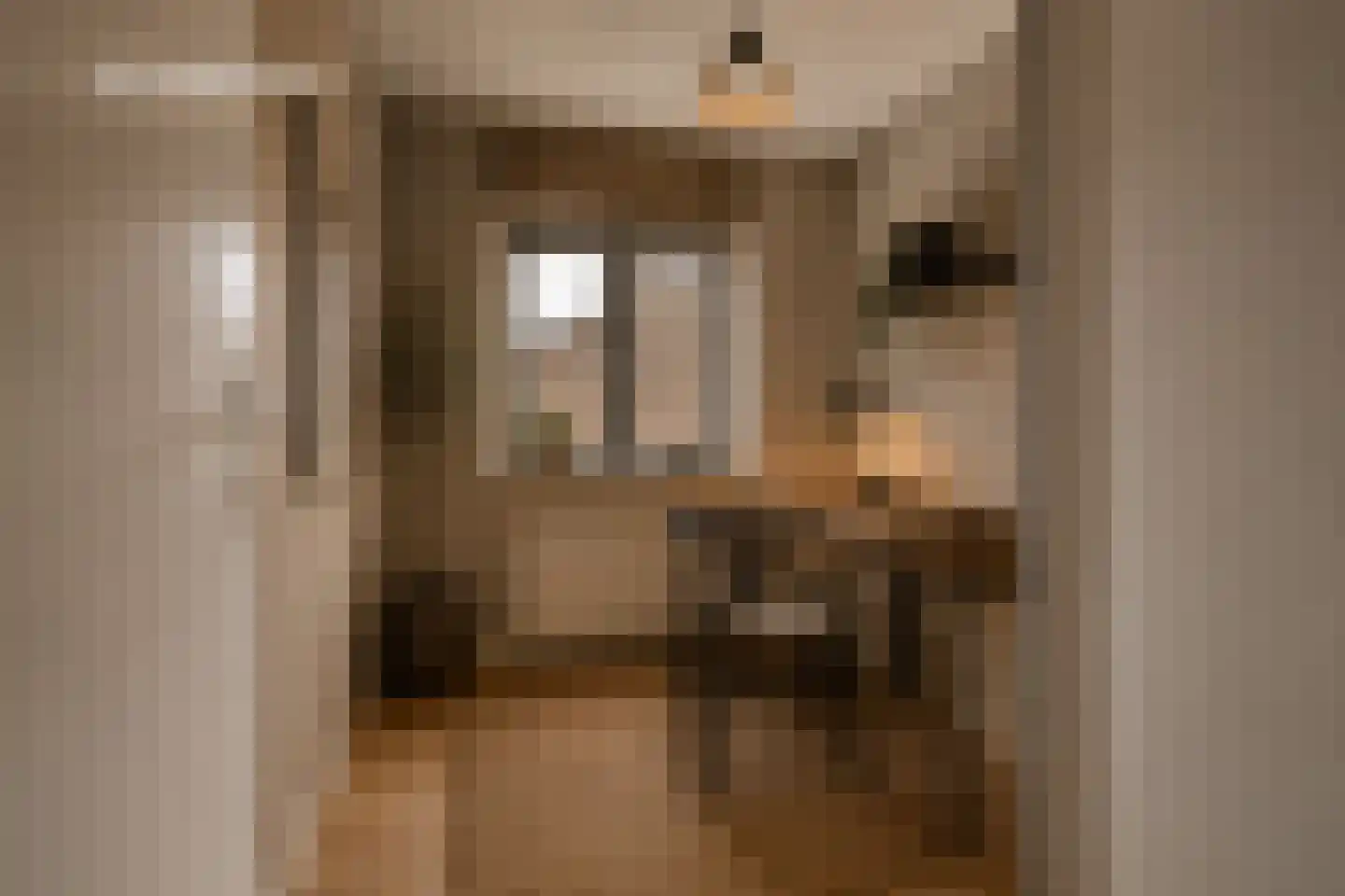 Dr. de Brouwerstraat 4 Vught thumbnail 26