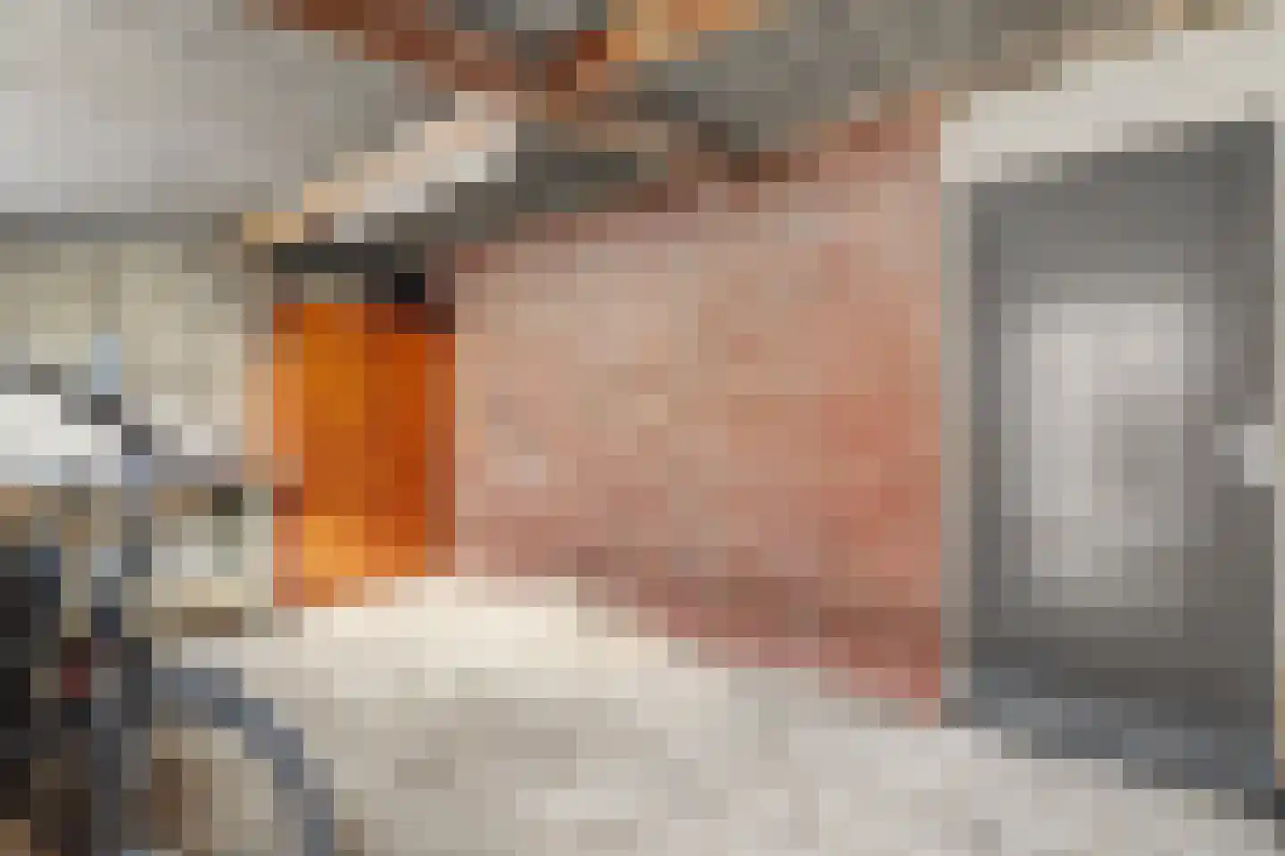 Dr. de Brouwerstraat 4 Vught thumbnail 35