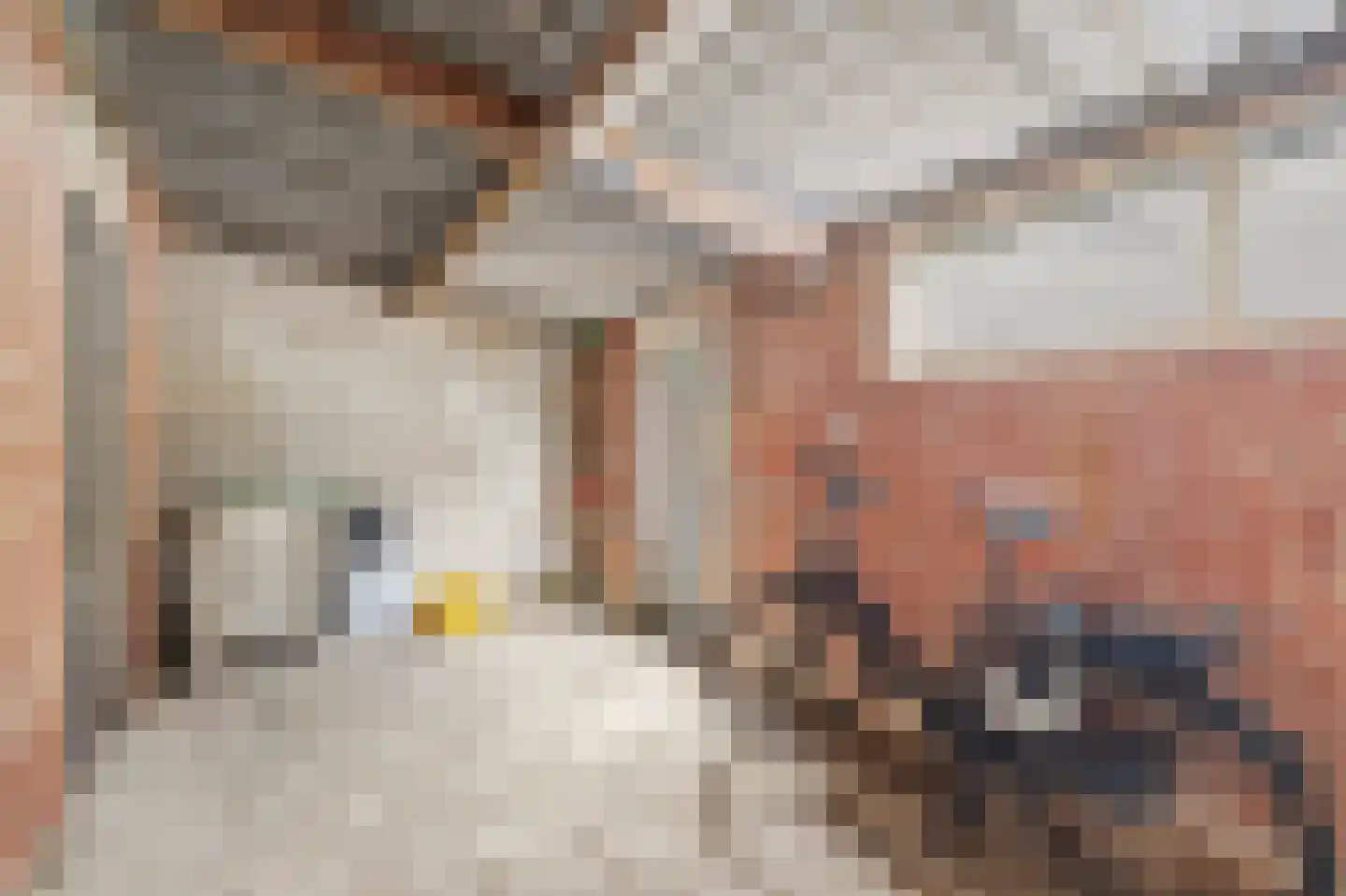 Dr. de Brouwerstraat 4 Vught thumbnail 36