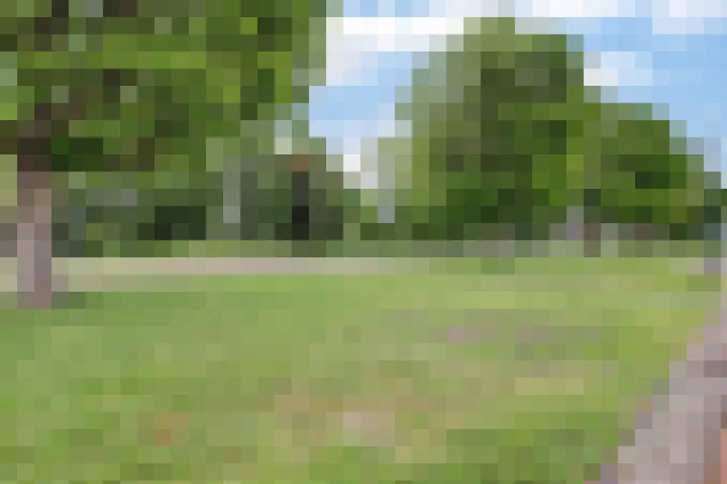 Dr. de Brouwerstraat 4 Vught thumbnail 43