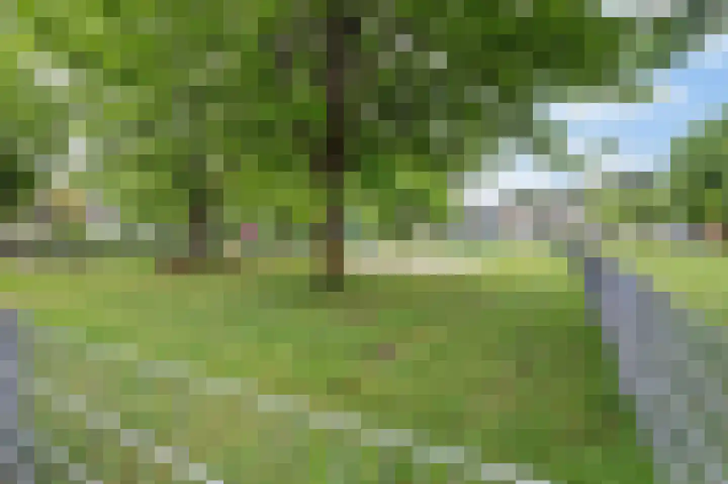 Dr. de Brouwerstraat 4 Vught thumbnail 44