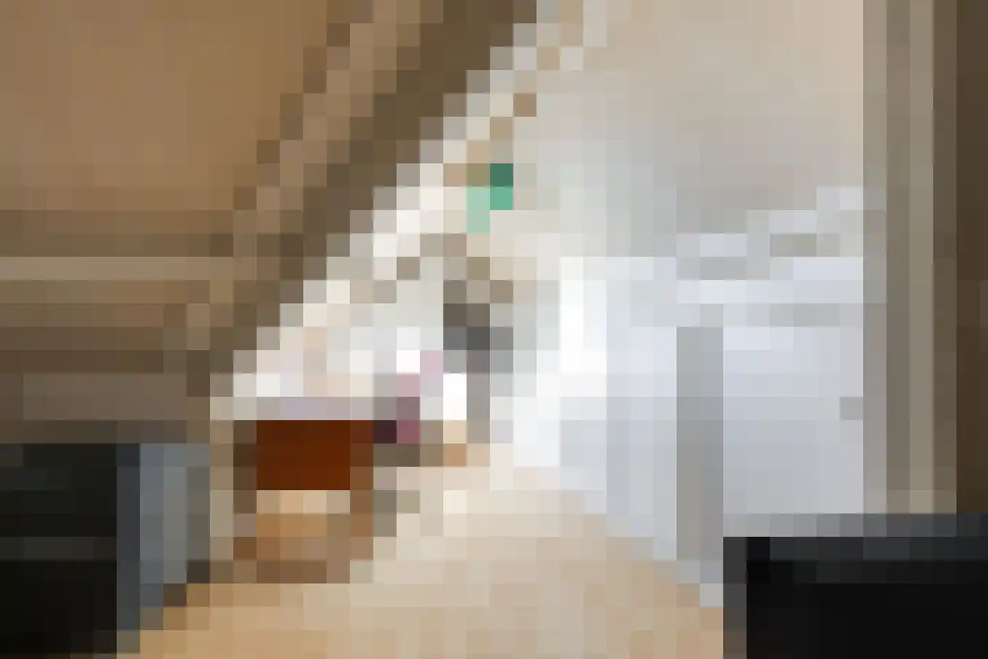 Dr. de Bruijnestraat 2 A Leiderdorp thumbnail 20