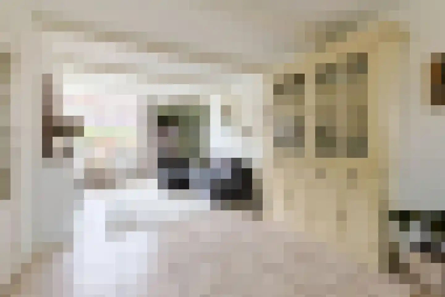 Dr. de Bruijnestraat 7 Leiderdorp thumbnail 12