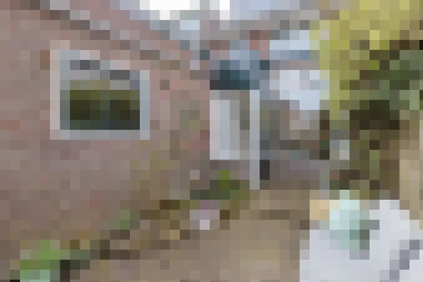 Dr. de Bruijnestraat 7 Leiderdorp thumbnail 42