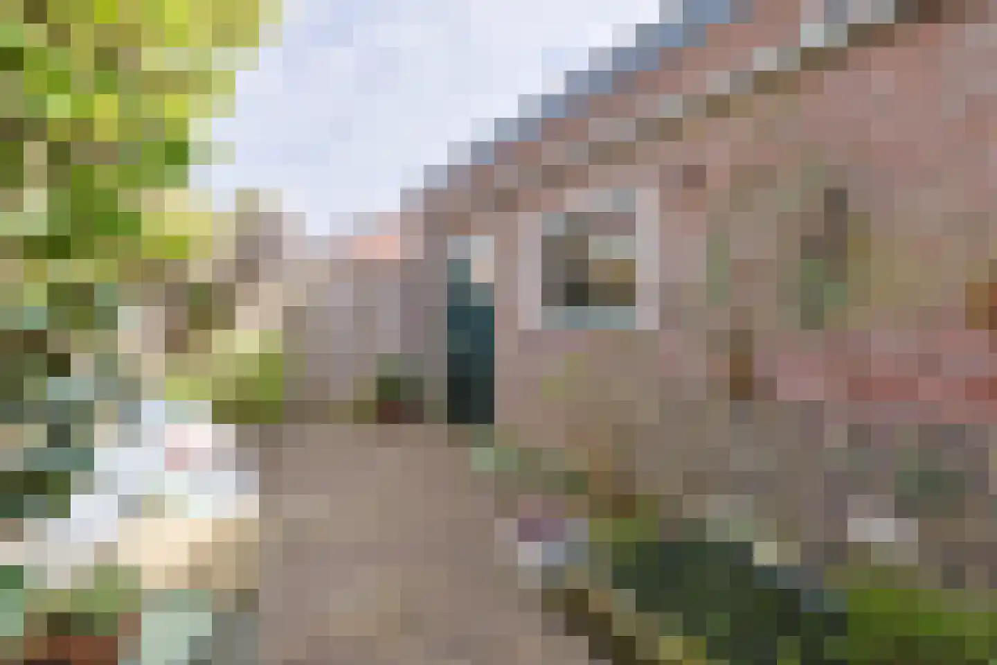 Dr. de Bruijnestraat 7 Leiderdorp thumbnail 45