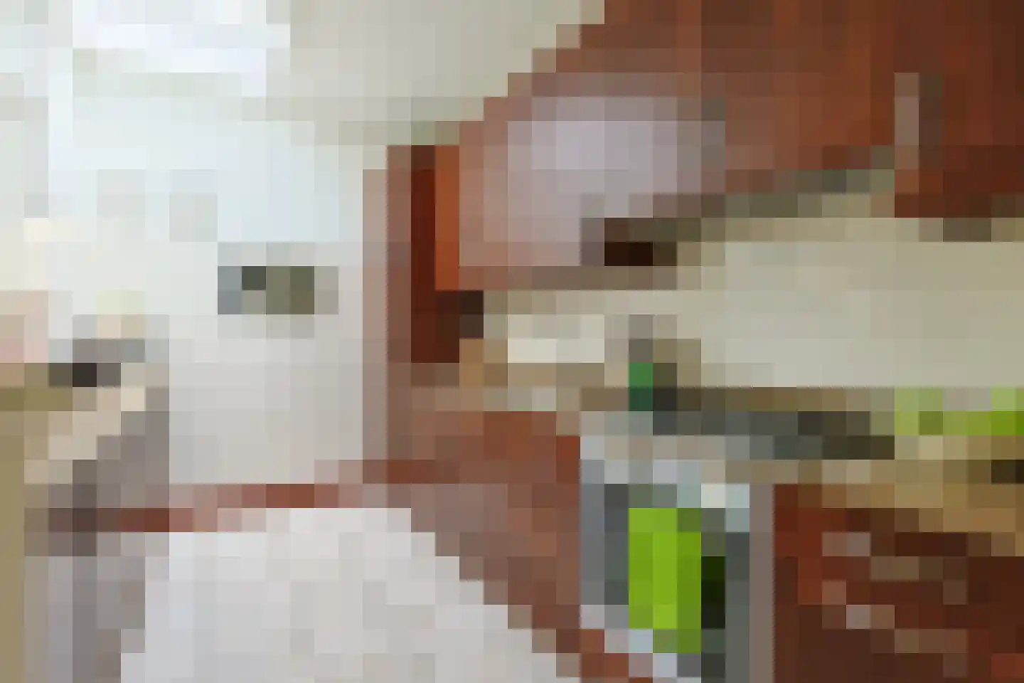 Dr. de Bruijnestraat 7 Leiderdorp thumbnail 5