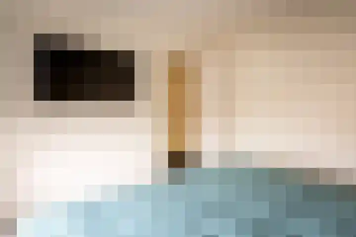 Dr de Bruijnlaan 15 Hoogerheide thumbnail 13
