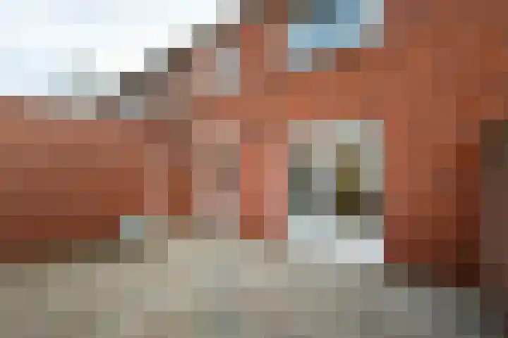 Dr de Bruijnlaan 15 Hoogerheide thumbnail 20
