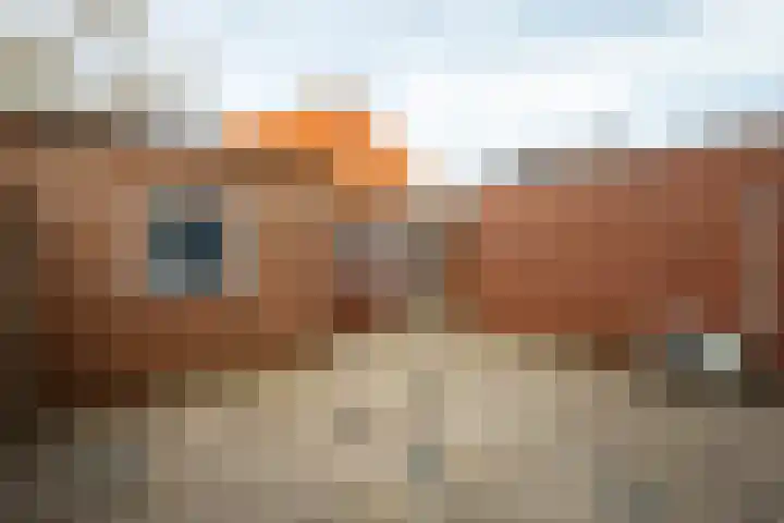 Dr de Bruijnlaan 15 Hoogerheide thumbnail 21