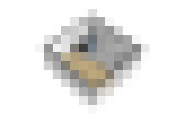 Dr de Bruijnlaan 15 Hoogerheide thumbnail 31