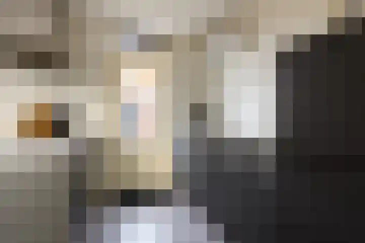 Dr de Bruijnlaan 15 Hoogerheide thumbnail 8