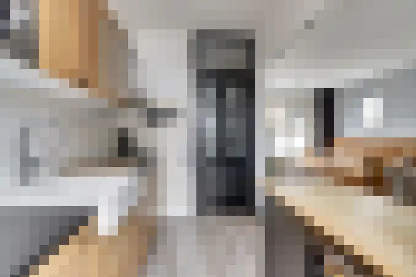 Dr de Bruijnlaan 7 Hoogerheide thumbnail 12
