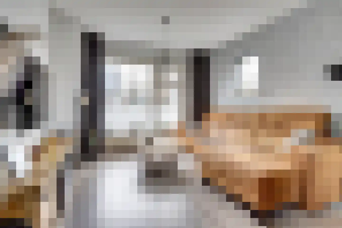 Dr de Bruijnlaan 7 Hoogerheide thumbnail 5