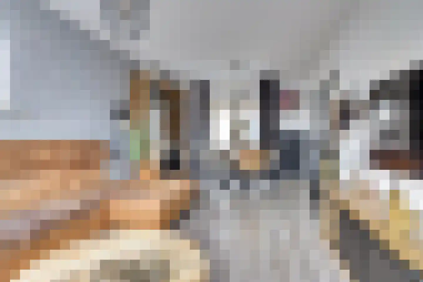 Dr de Bruijnlaan 7 Hoogerheide thumbnail 7