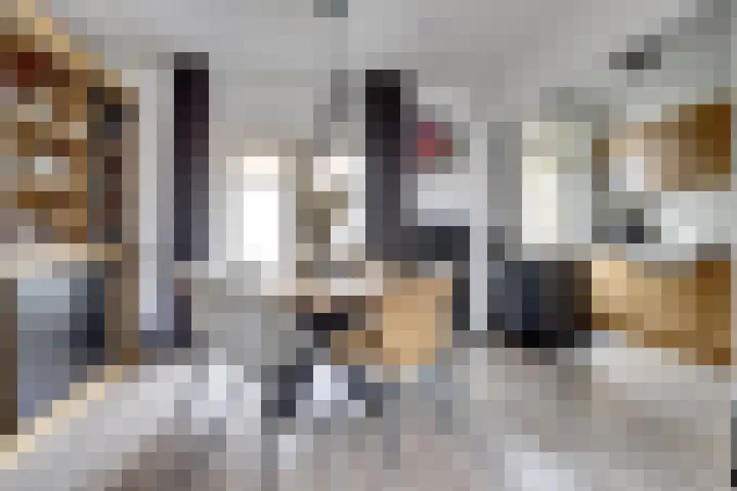 Dr de Bruijnlaan 7 Hoogerheide thumbnail 8