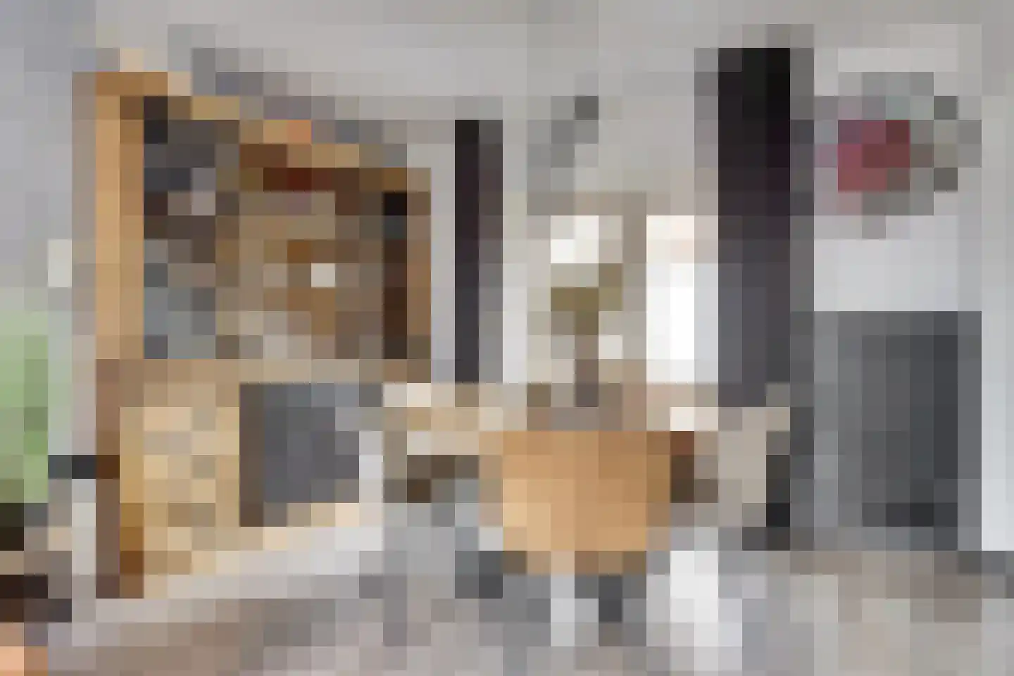 Dr de Bruijnlaan 7 Hoogerheide thumbnail 9