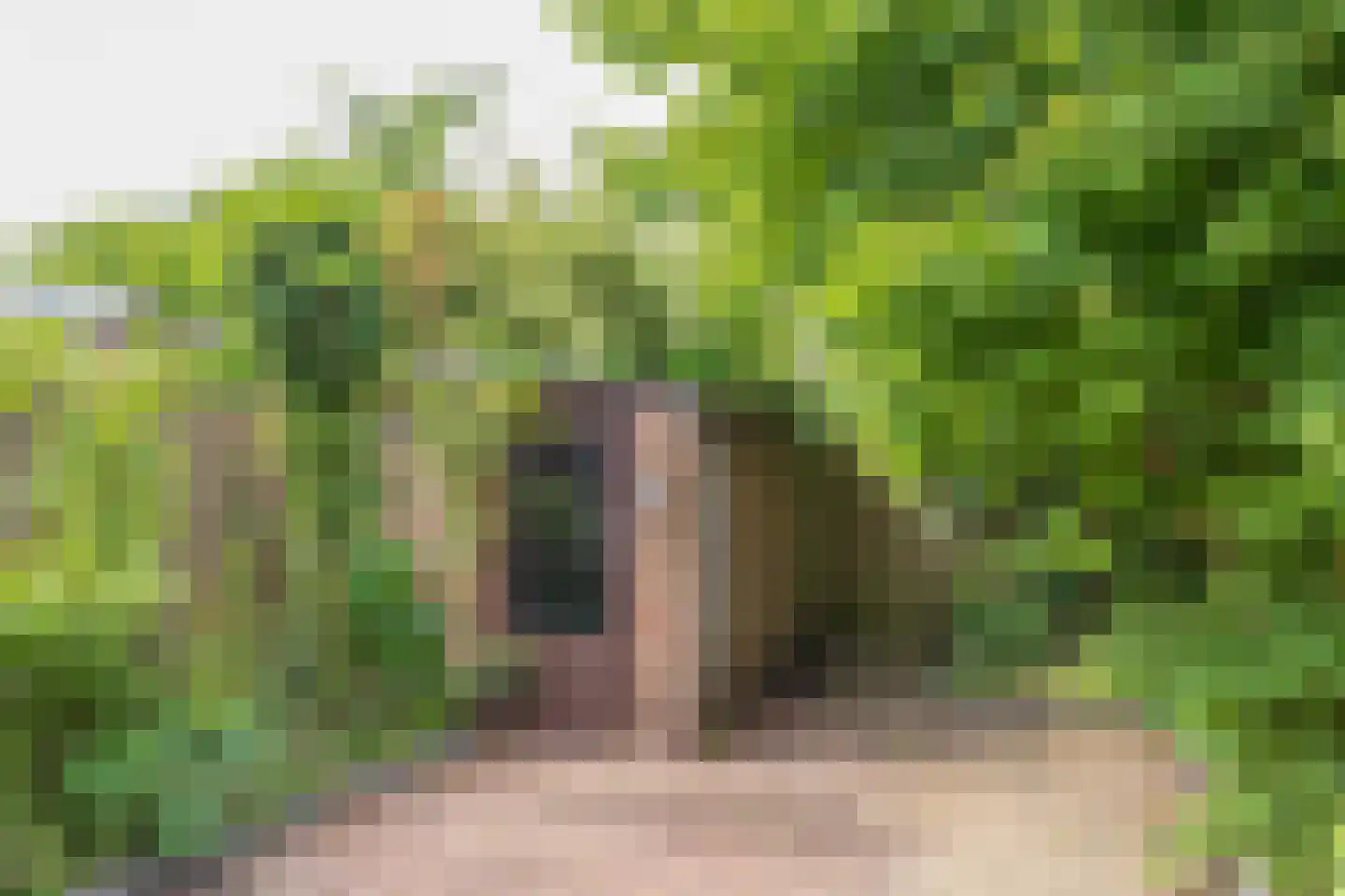 Dr. De Visserlaan 20 Amstelveen thumbnail 20