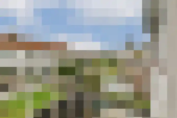 Dr. de Visserlaan 22 Sassenheim thumbnail 14