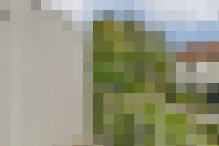 Dr. de Visserlaan 22 Sassenheim thumbnail 15