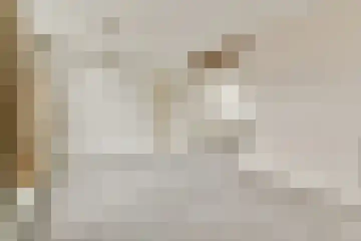 Dr. de Visserlaan 22 Sassenheim thumbnail 6