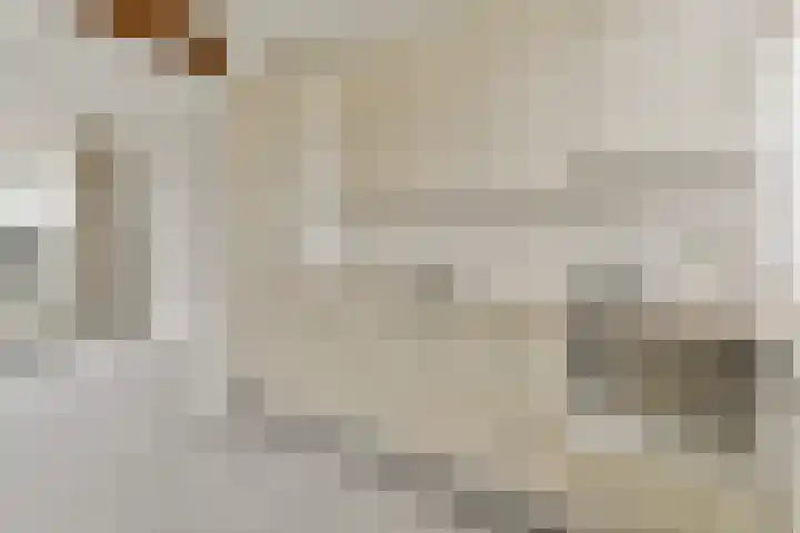 Dr. de Visserlaan 22 Sassenheim thumbnail 8