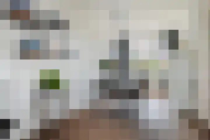 Dr. de Visserplein 24 Den Haag thumbnail 10