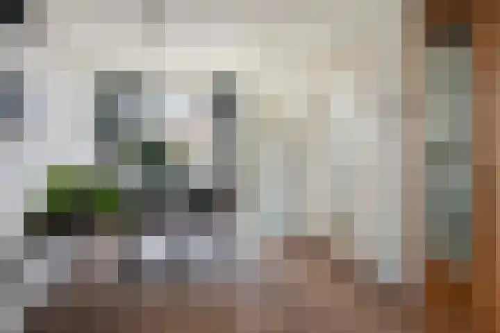Dr. de Visserplein 24 Den Haag thumbnail 11