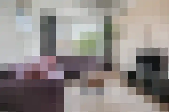 Dr. de Visserplein 24 Den Haag thumbnail 9