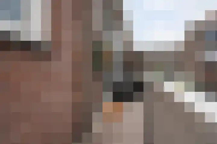 Dr. de Visserplein 25 Den Haag thumbnail 13