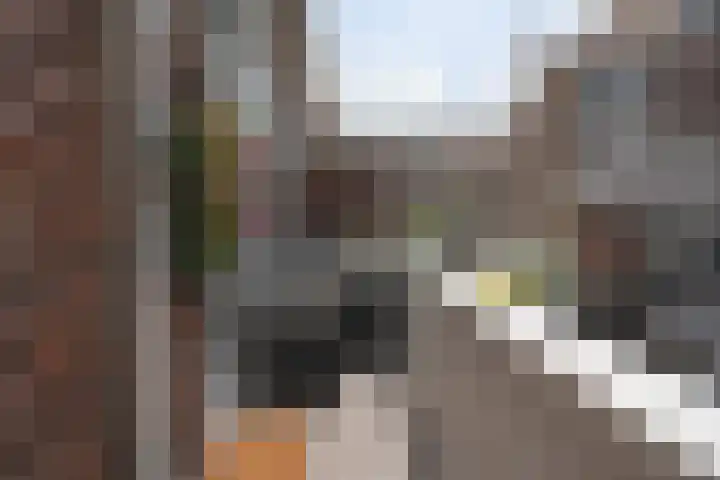 Dr. de Visserplein 25 Den Haag thumbnail 14