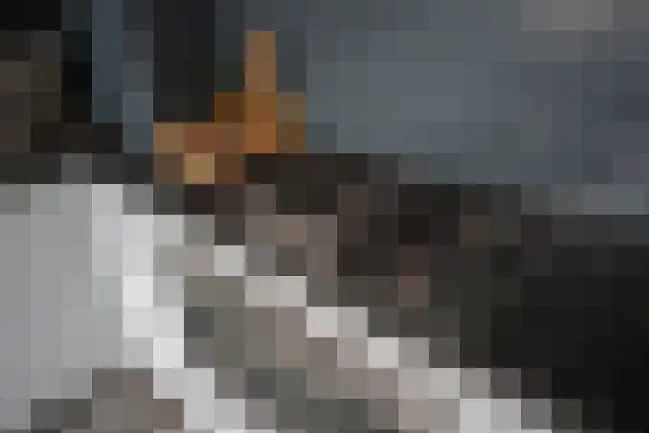 Dr. de Visserplein 25 Den Haag thumbnail 18
