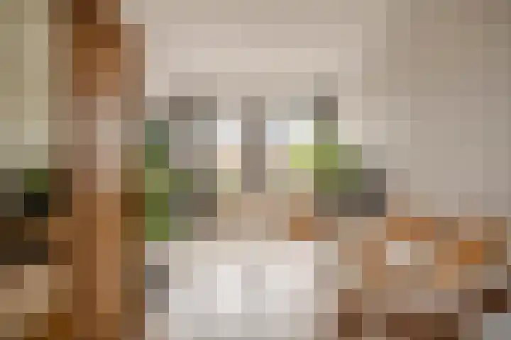 Dr. de Visserplein 25 Den Haag thumbnail 4