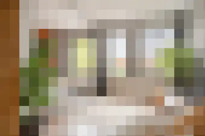 Dr. de Visserplein 25 Den Haag thumbnail 5
