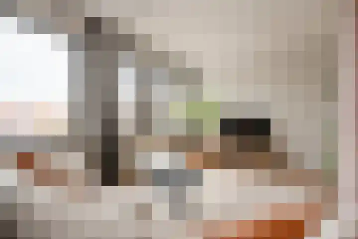 Dr. de Visserplein 25 Den Haag thumbnail 6