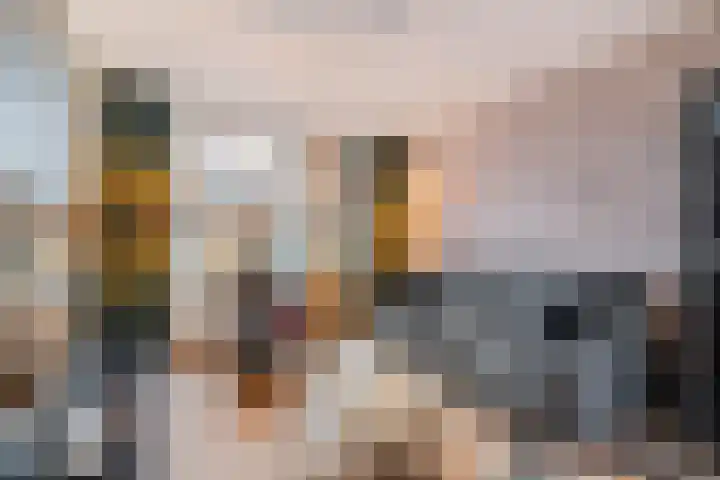 Dr. de Visserplein 27 Den Haag thumbnail 6