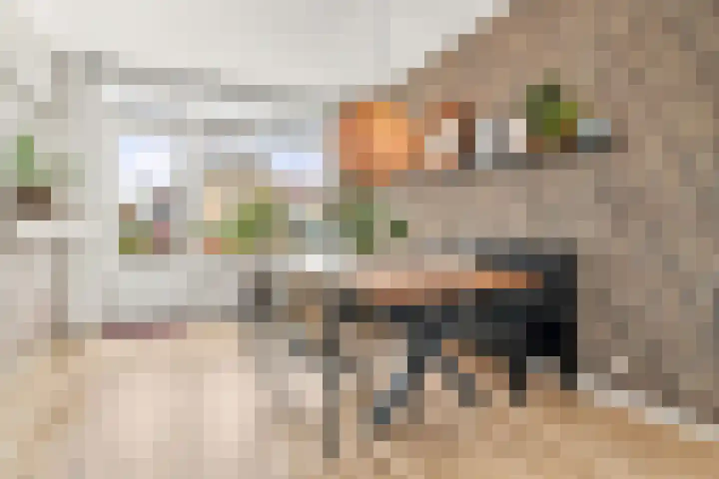 Dr. de Visserplein 28 Den Haag thumbnail 17