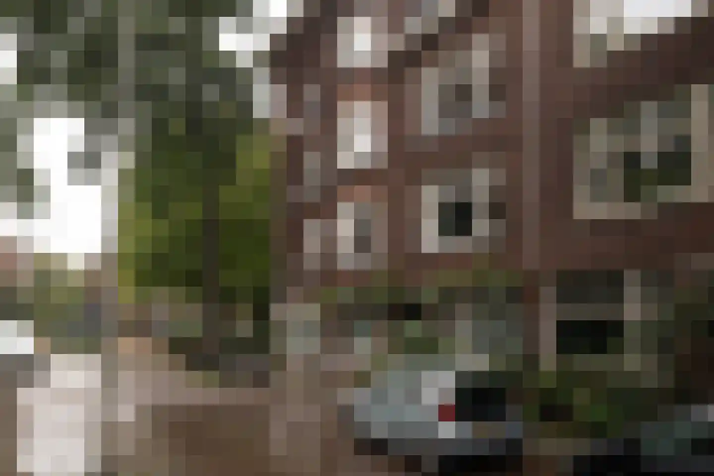 Dr. de Visserstraat 10 A 01 Rotterdam thumbnail 7