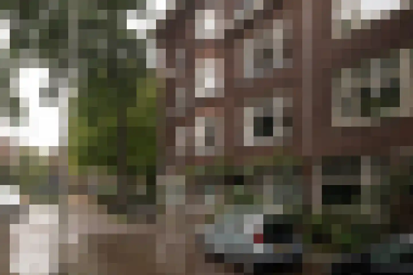 Dr. de Visserstraat 10 A 02 Rotterdam thumbnail 6