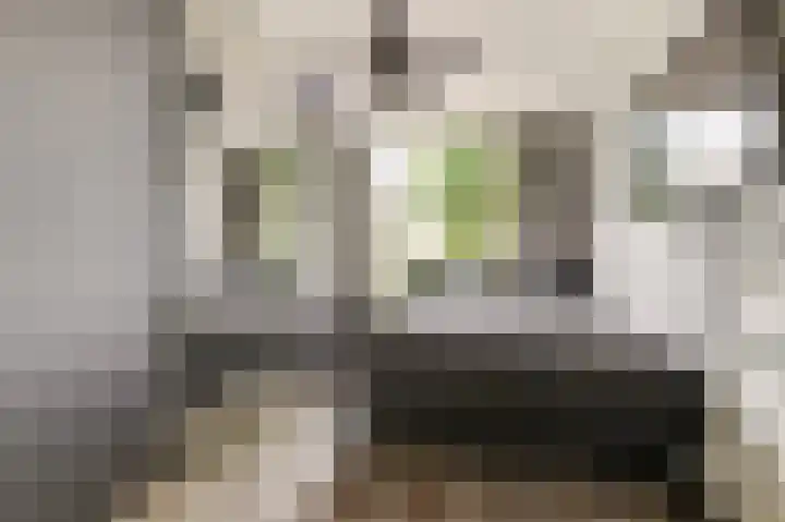 Dr. de Visserstraat 22 Ridderkerk thumbnail 21