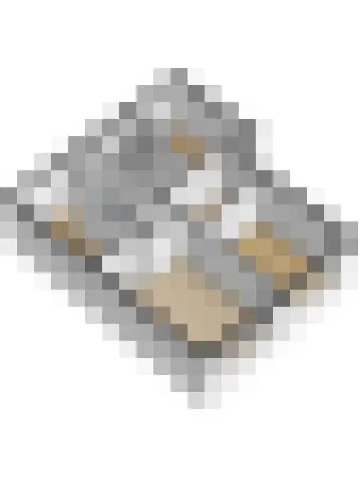 Dr. de Visserstraat 22 Ridderkerk thumbnail 37