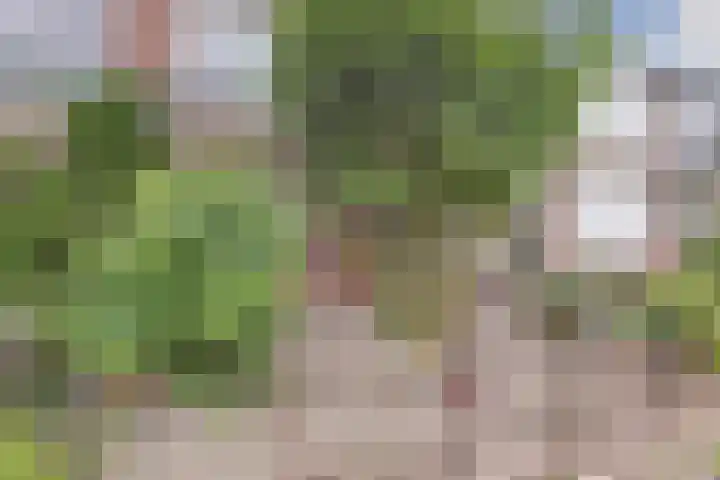 Dr. de Visserstraat 22 Ridderkerk thumbnail 7