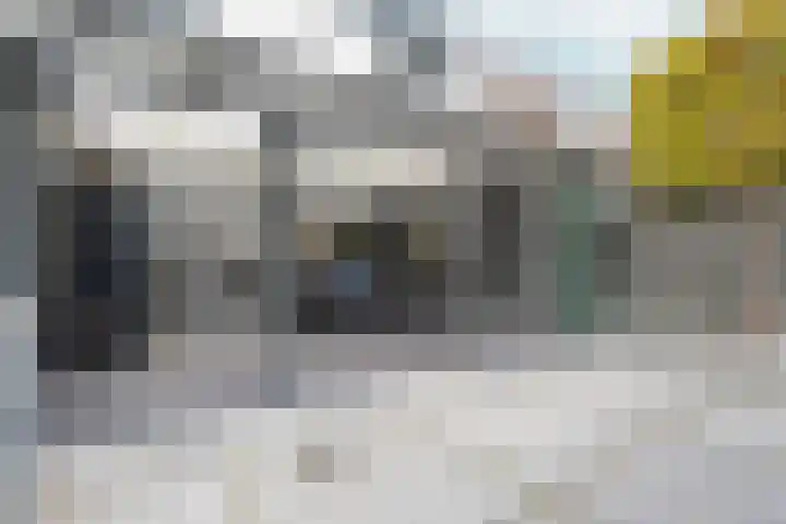 Dr. de Visserstraat 25 Nijmegen thumbnail 20