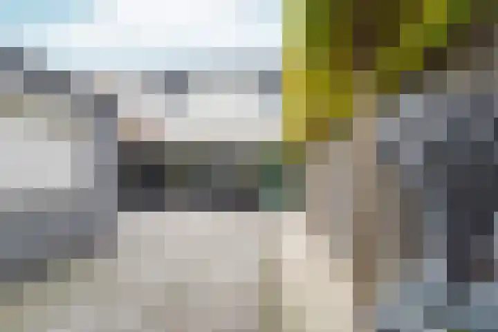 Dr. de Visserstraat 25 Nijmegen thumbnail 31