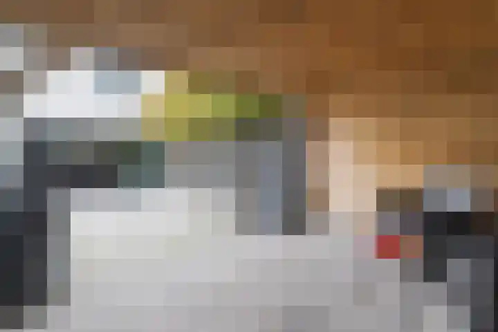 Dr. de Visserstraat 25 Nijmegen thumbnail 35
