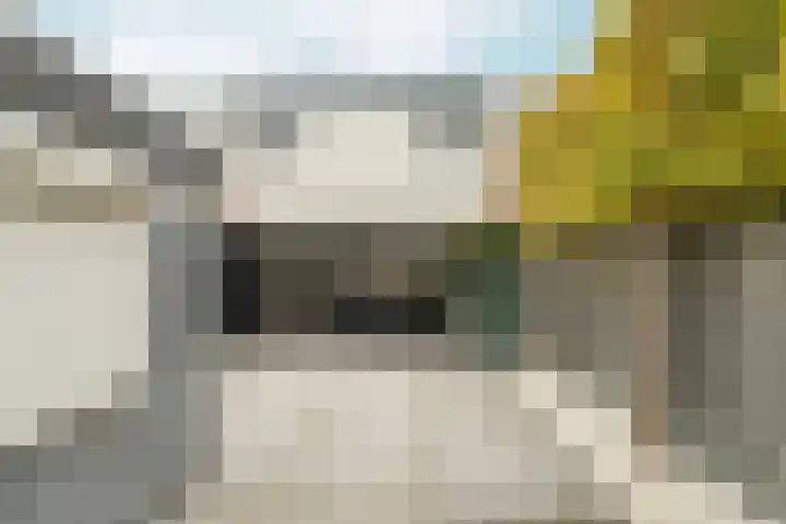 Dr. de Visserstraat 25 Nijmegen thumbnail 37