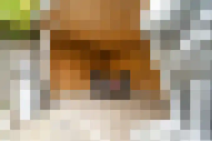 Dr. de Visserstraat 25 Nijmegen thumbnail 5