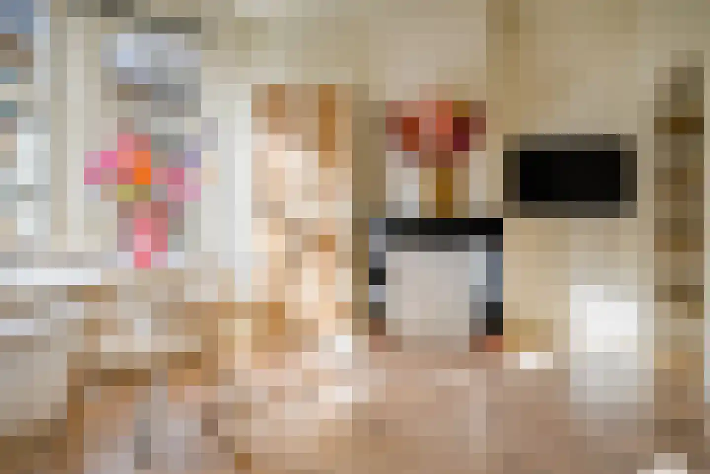 Dr. de Visserstraat 28 B 02 Rotterdam thumbnail 11